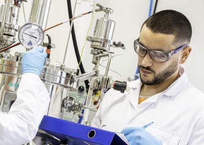Cell line Development process