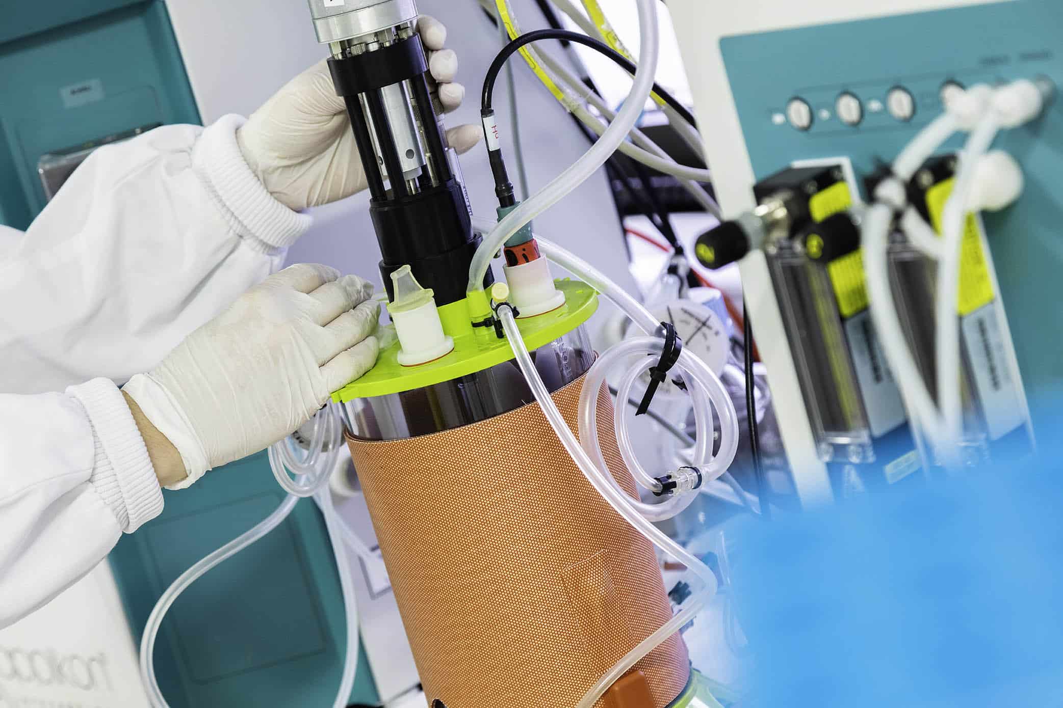 Cell line Development process