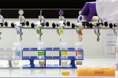 Cell line Development process