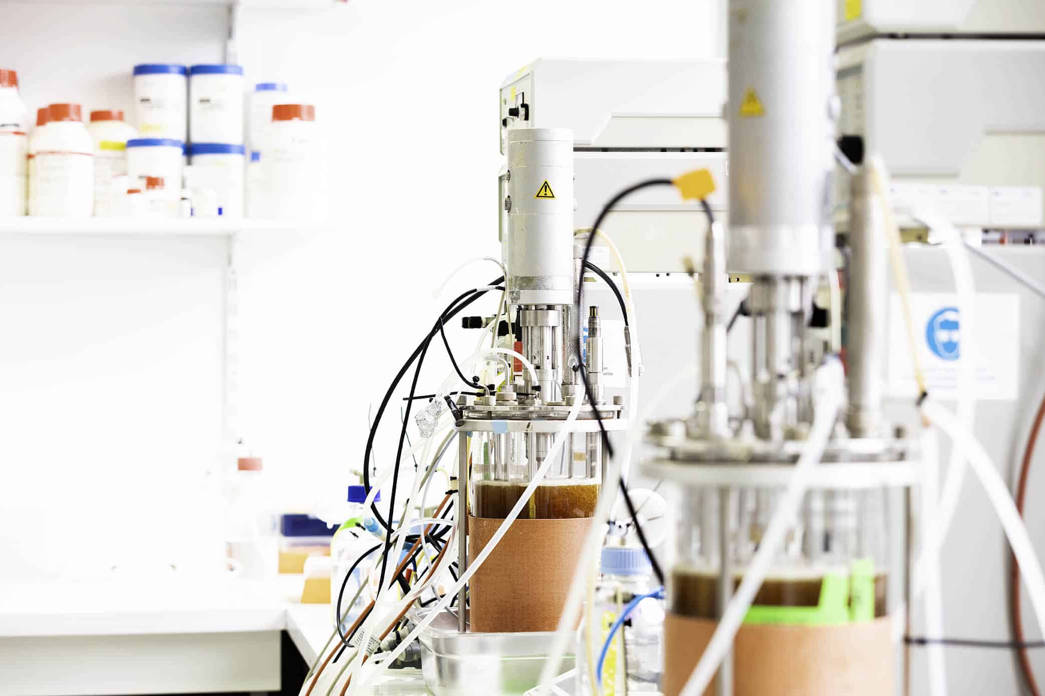 Cell line Development process