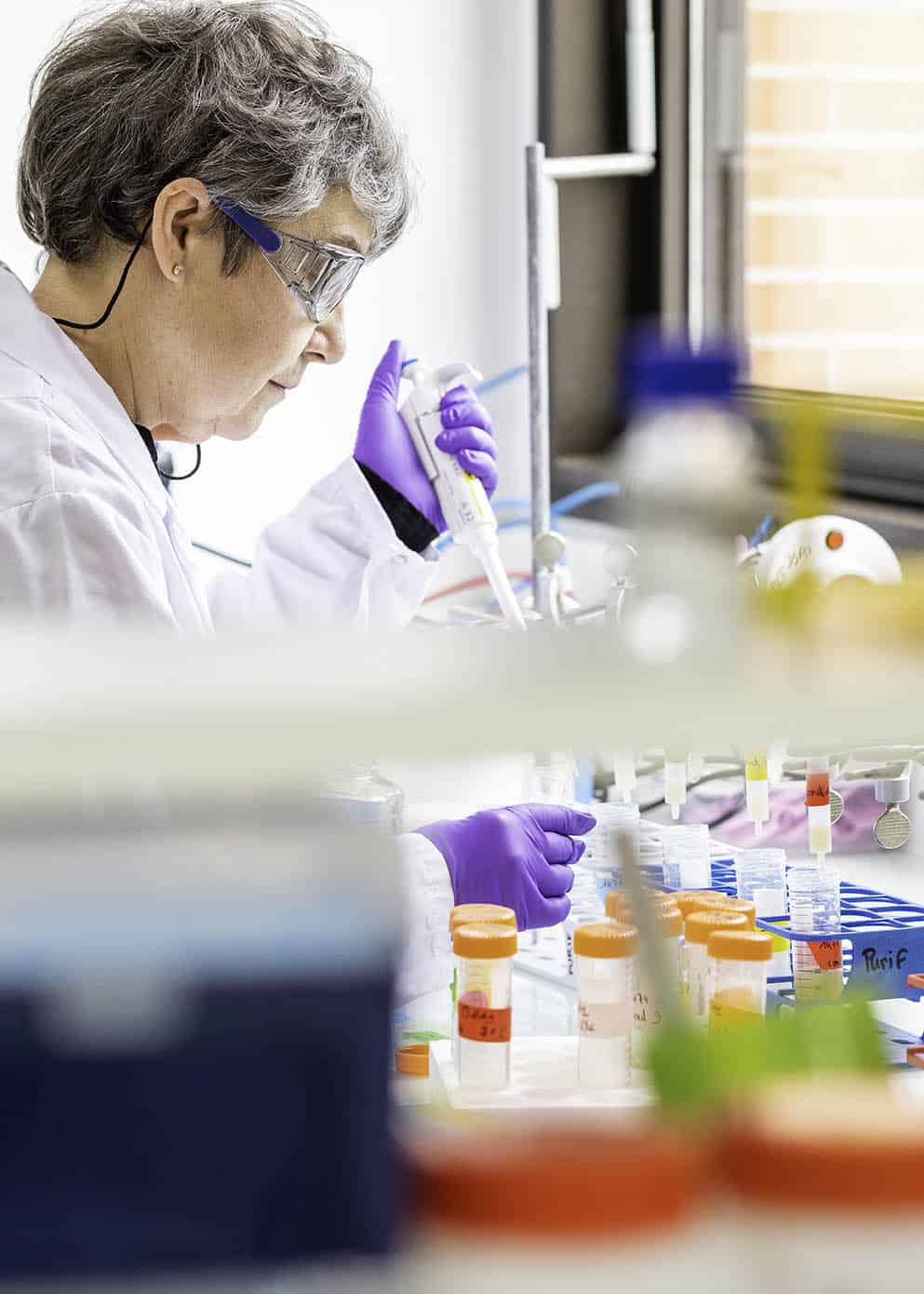 Expert team in downstream process development