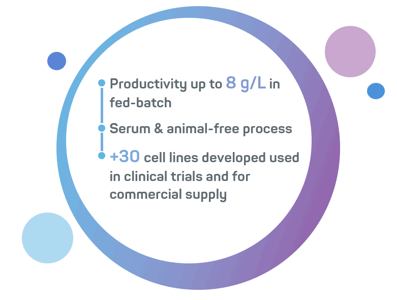 Cell line Development process