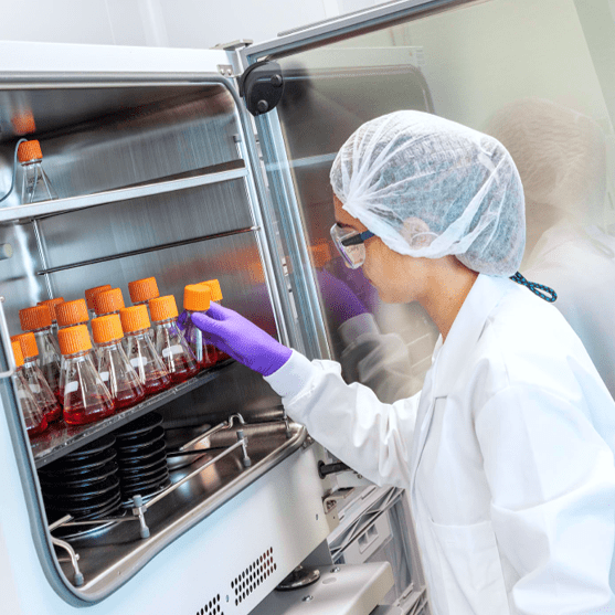 Cell line Development process