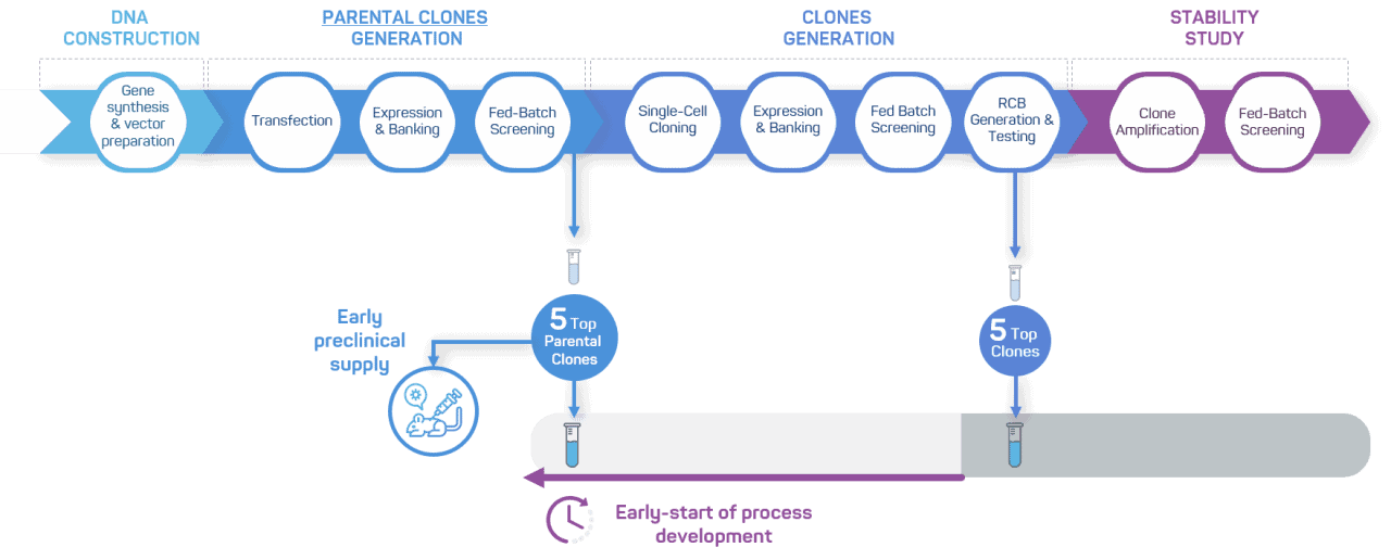 Cell line development GTP Bioways