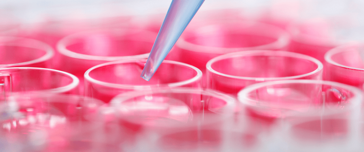 Evidence and assurance. Mkn45 cell line'. клеточная линия wil2-s. Dbtrg cell line. Jrkat cell lines.
