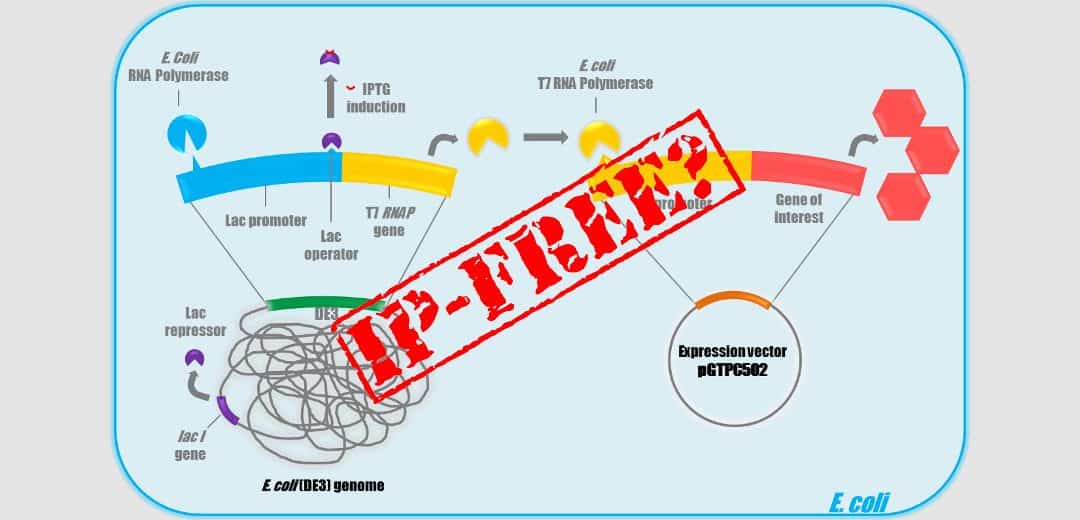GTP Bioways CDMO - What is the freedom to operate for T7 promoter system?