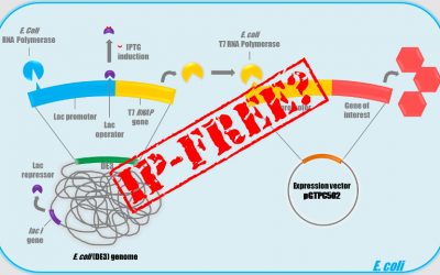 What is the freedom to operate for T7 promoter system?