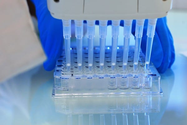 GTP Bioways CDMO - Bioconjugates Analytical Development