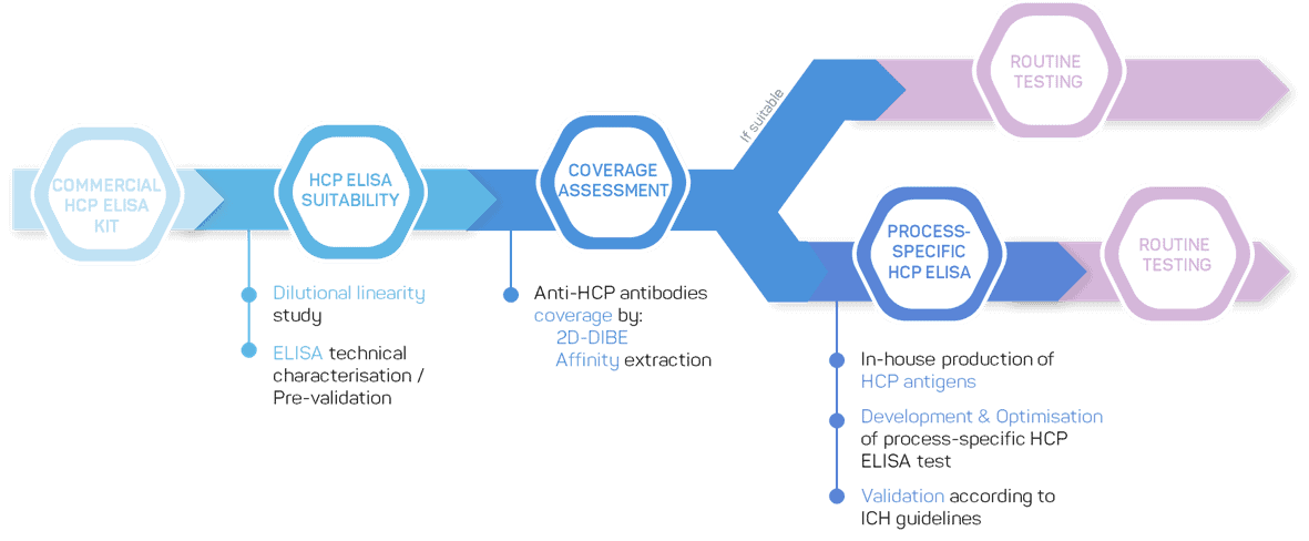 HCP ELISA Specific flow chart - GTP Bioways CDMO