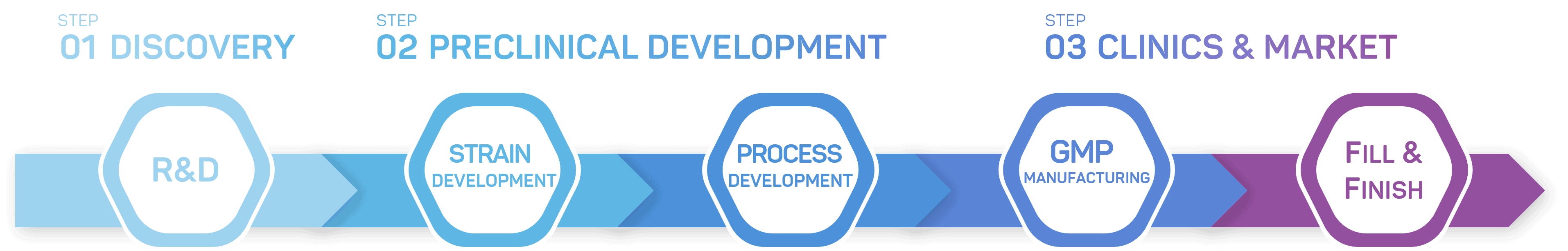 Cell line Development process