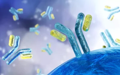 What are monoclonal antibodies and their therapeutic applications?