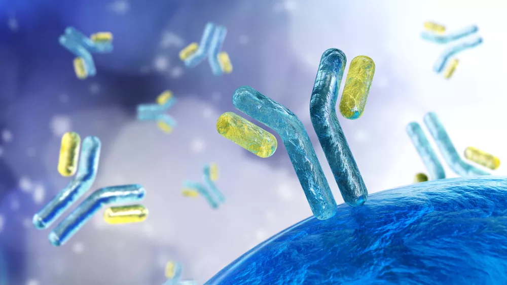 Monoclonal antibodies GMP production - GTP Bioways