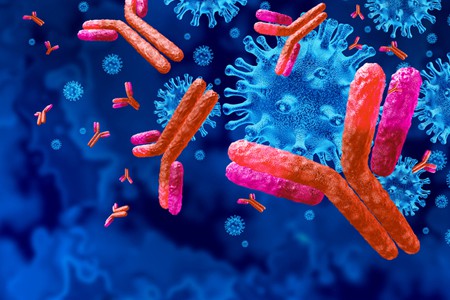 Antibody-Drug Conjugates (ADC) and their potential therapeutic applications