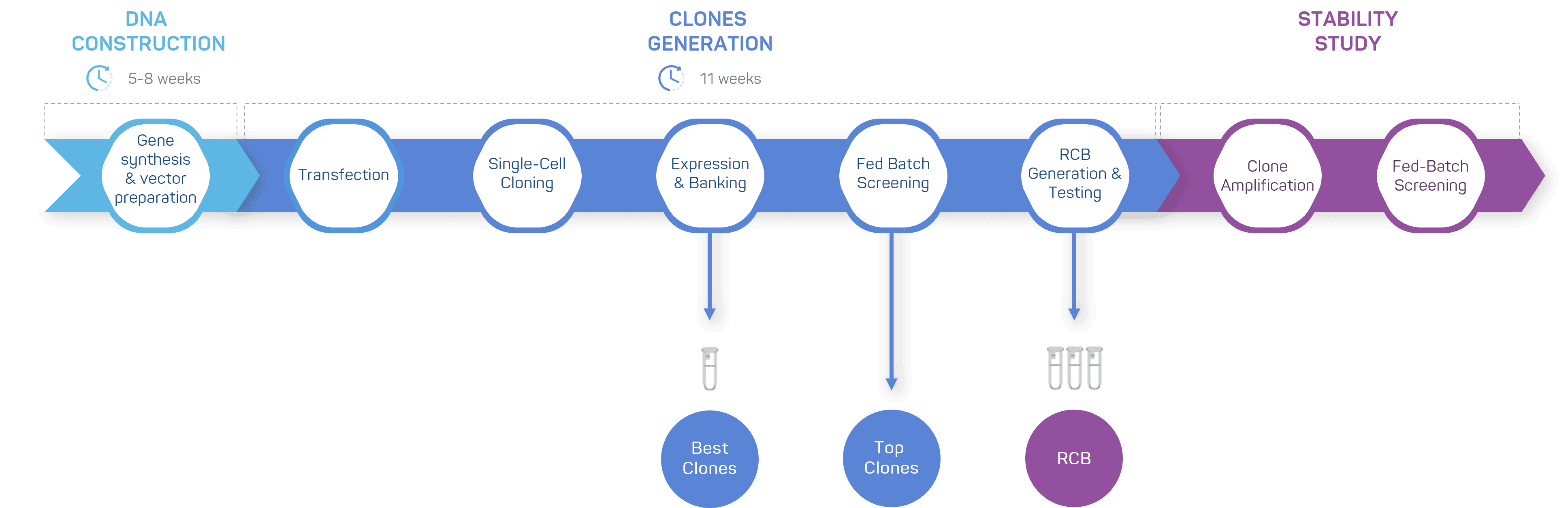 GTP Bioways CDMO - Bioprocess tech transfer expertise