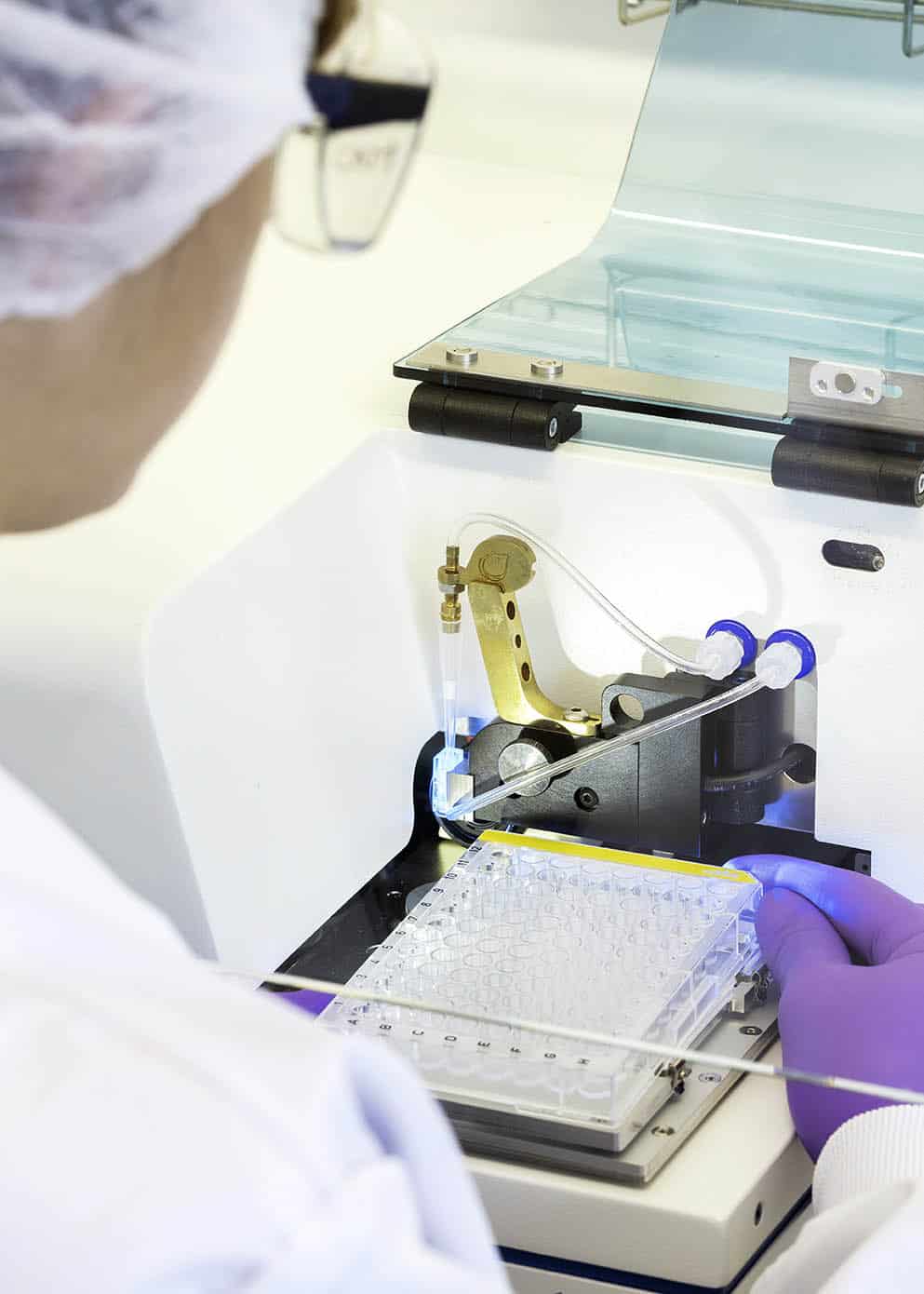 Cell line Development process