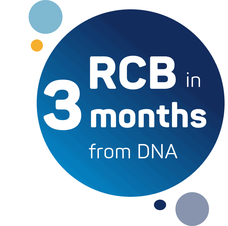 Expert team in downstream process development Expert team in downstream process development