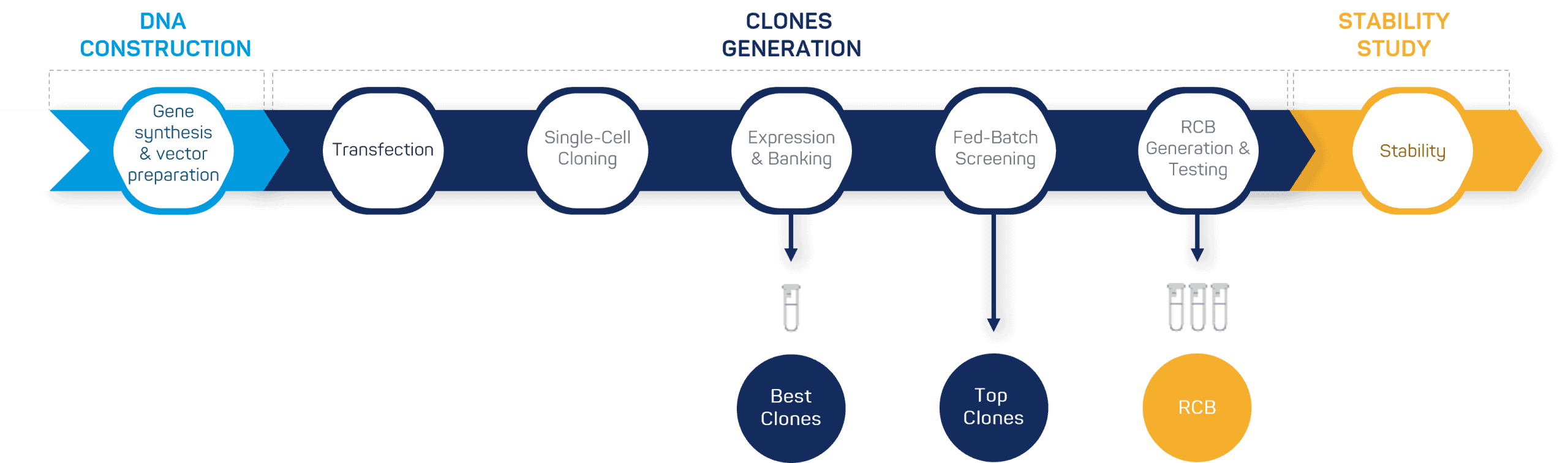Expert team in downstream process development Expert team in downstream process development