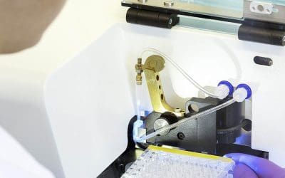 5 Key Steps in GMP Cell Line Development Process